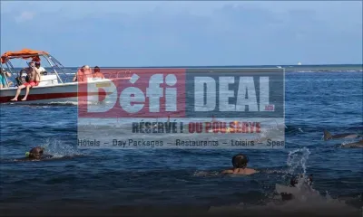 Defideal.mu : offres exceptionnelles 