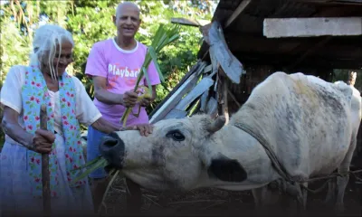 Bhoomawtee Palakdhari, 91 ans : «Lontan, lavi ti pli fasil»