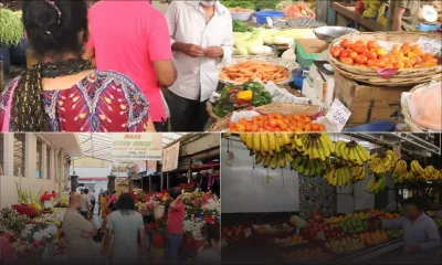 Consommation - Fruits et légumes plus chers : les Mauriciens se serrent la ceinture