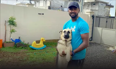 Gael Kalee : le sauveur des chiens errants ouvre une pension canine
