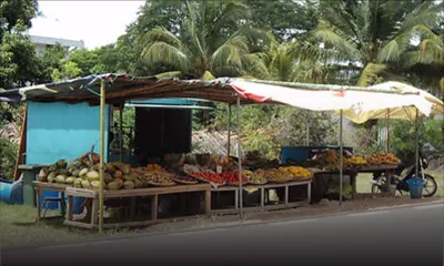 Vente de fruits et légumes : la RDA menace d’enlever les étals illégaux en bordure de route 