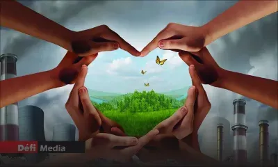 Environnement : beaucoup d’attentes pour une politique verte forte