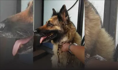 Rendez-moi Georgia !