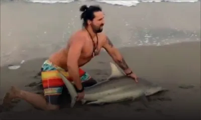 Il capture un requin pour se faire photographier sur la plage