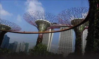 Singapour: féerie artificielle