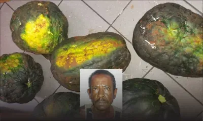 À Triolet : un pêcheur épinglé pour une série de vols de légumes