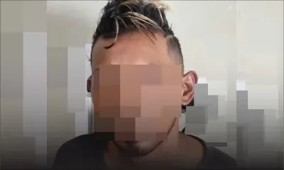 Dans le Sud 546 semences de cannabis retrouvées dans la voiture d’un maçon