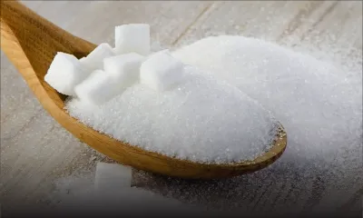 Industrie cannière : la vente du sucre connaît une hausse