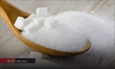 En un an : 130 738 tonnes de sucres spéciaux produites