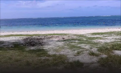 Deux requins dans le lagon de Palmar : la police appelle à la vigilance