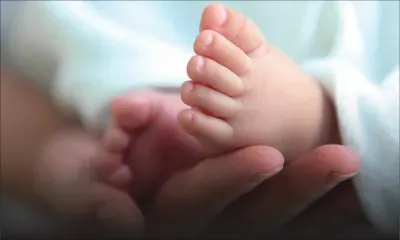 Journée mondiale de la population ce mercredi : les naissances de nouveau en hausse