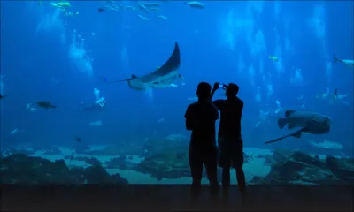 Hausse du taux de fréquentation : les affaires des parcs d’attractions boostées par les vacances