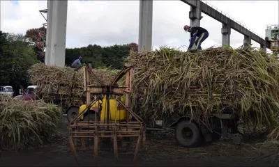 Plan de sauvetage de Rs 1,3 milliard : la chambre d’Agriculture évoque une «situation grave»