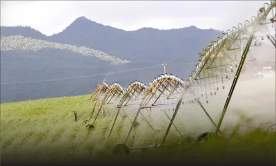 Entreprises : IBL compte lever Rs 2,5 milliards pour financer sa dette