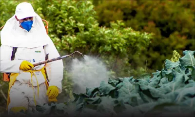 Use of Pesticides Act : mise en œuvre dans la controverse