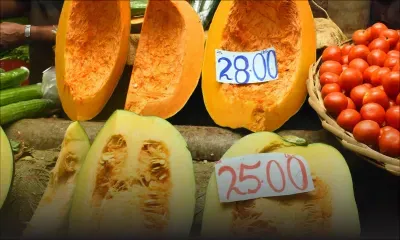 Mercuriale : le prix du giraumon prend l’ascenseur