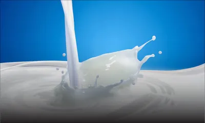 Top 10 des parutions dans les brochures - Promotion : les produits laitiers en pole position