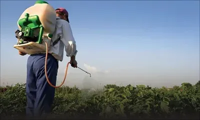 Agro-industrie : contrôle insuffisant de l’utilisation abusive des pesticides