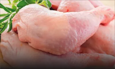 360 kilos de poulet frais saisis chez un éleveur du Nord