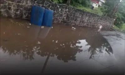 Rue des Lataniers, Ste Croix : une eau stagnante dérange depuis plus de sept ans