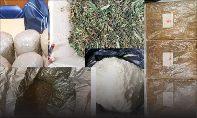 Zoom sur les saisies de drogues