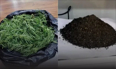 Trafic de drogue de synthèse et de cannabis : deux dealers sous les verrous