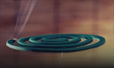 Produits anti-moustiques : les Vape préférés aux spirales fumantes