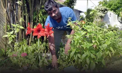Soodesh Greedharree : un jardinier aux doigts fleuris  