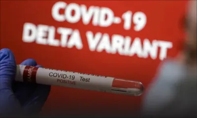 Covid-19 : les boucliers contre le variant Delta sont-ils assez solides ?