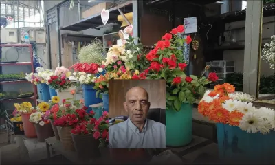 Horticulture : les marchands de fleurs s’activent pour la fête des morts