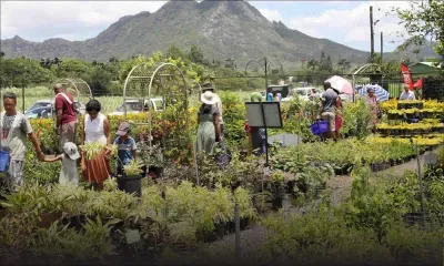 Moka Plant Festival : votre rendez-vous fleuri