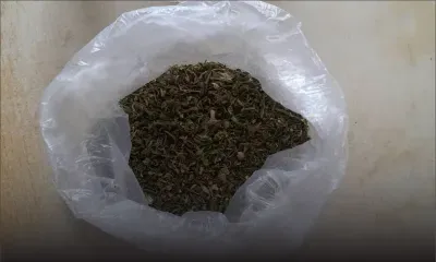 Trafic de cannabis : le pêcheur Arnold tombe dans les filets de l’Adsu