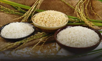 Riz : hausse de 15 % à 30 % sur les prix d’ici un mois