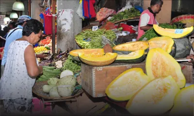 Après les récentes averses : la production et les prix des légumes inchangés