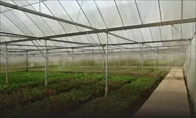 Agro-industrie : quand Maurice est à perdre la bataille de la sécurité alimentaire