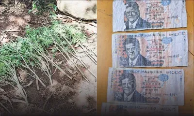 Opérations de l’Adsu de Rodrigues : un homme arrêté pour possession de faux billets de Rs 1 000