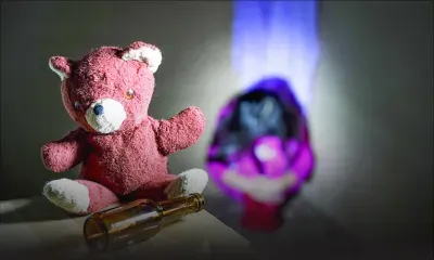 Excerpt from DPP Newsletter : Child Sexual Abuse seen from a psycho-socio-legal Perspective