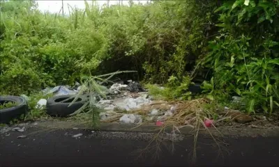 À Baie-du-Tombeau : un terrain en friche infesté de rats