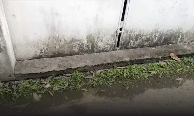 Flacq : des habitants d’Argy réclament le prolongement d’un drain 