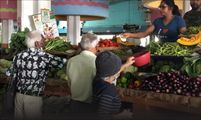 Légumes chers : la « tant bazar » s’allège, le surgelé privilégié