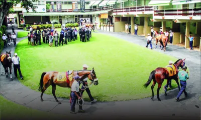 Lien trafic de drogue / hippisme : l’Icac sur la piste des nouveaux riches du Champ-de-Mars