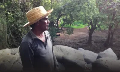 7 Day Challenge : votez pour «Papachiri» !