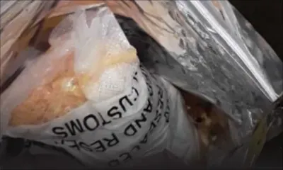 Rs 15 M de drogues synthétiques : les enquêteurs soupçonnent une falsification de document