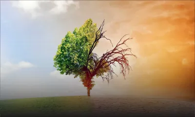 Changement climatique : l’urgent appel à l’action