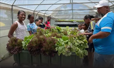 Encadrement par SAFIRE - Enfants défavorisés : de la rue… à l’aquaponie 