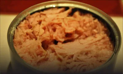 Consommation: des traces de substances toxiques dans les boîtes de thon