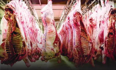 Services essentiels : l'Amb et l'abattoir de la Mauritius Meat Authority seront opérationnels 