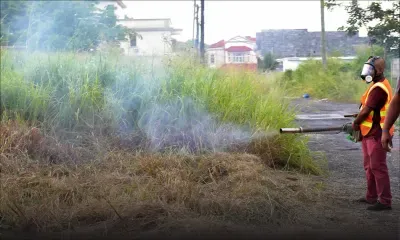 La dengue poursuit sa progression à Roche-Bois 