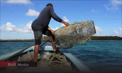 Le gouvernement débourse plus de Rs 10 millions au bénéfice des pêcheurs 