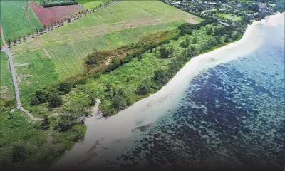 Droit environnemental : un jugement historique renforce les pouvoirs du citoyen